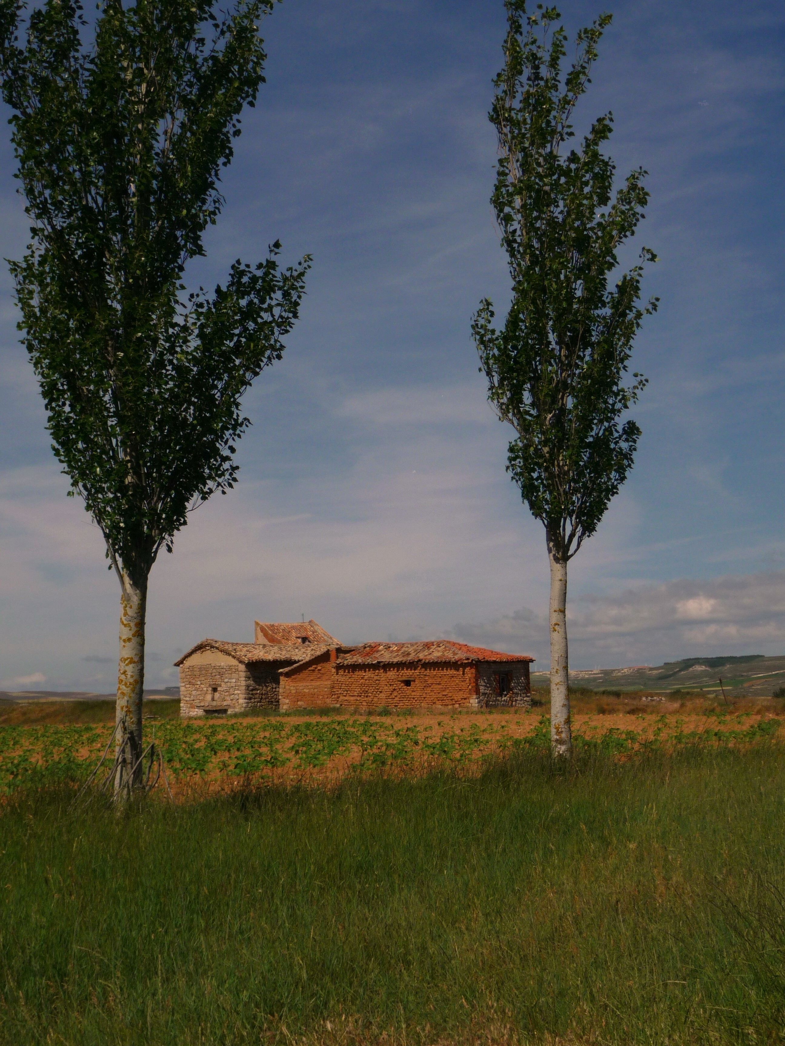 Casetas