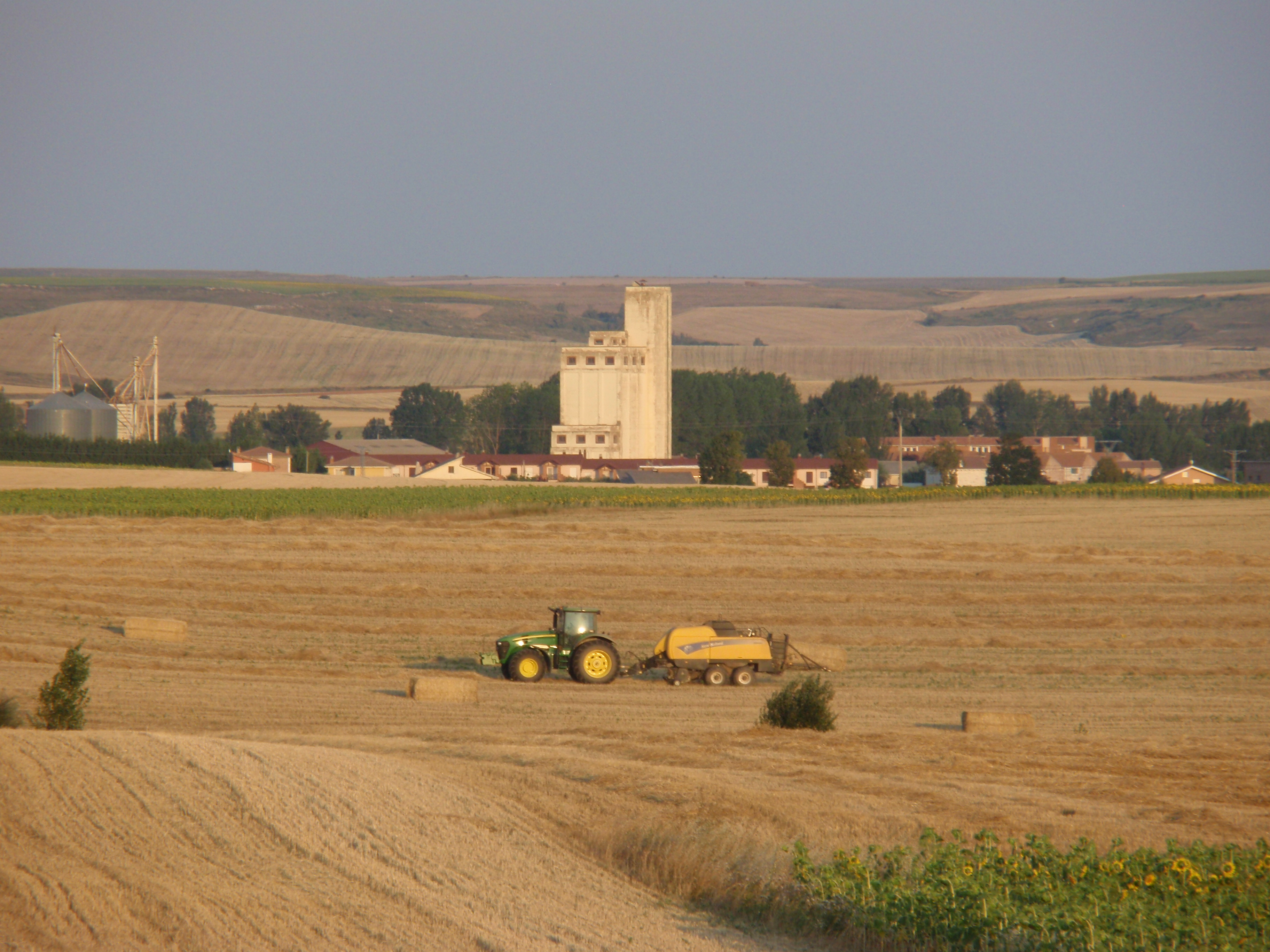 El campo
