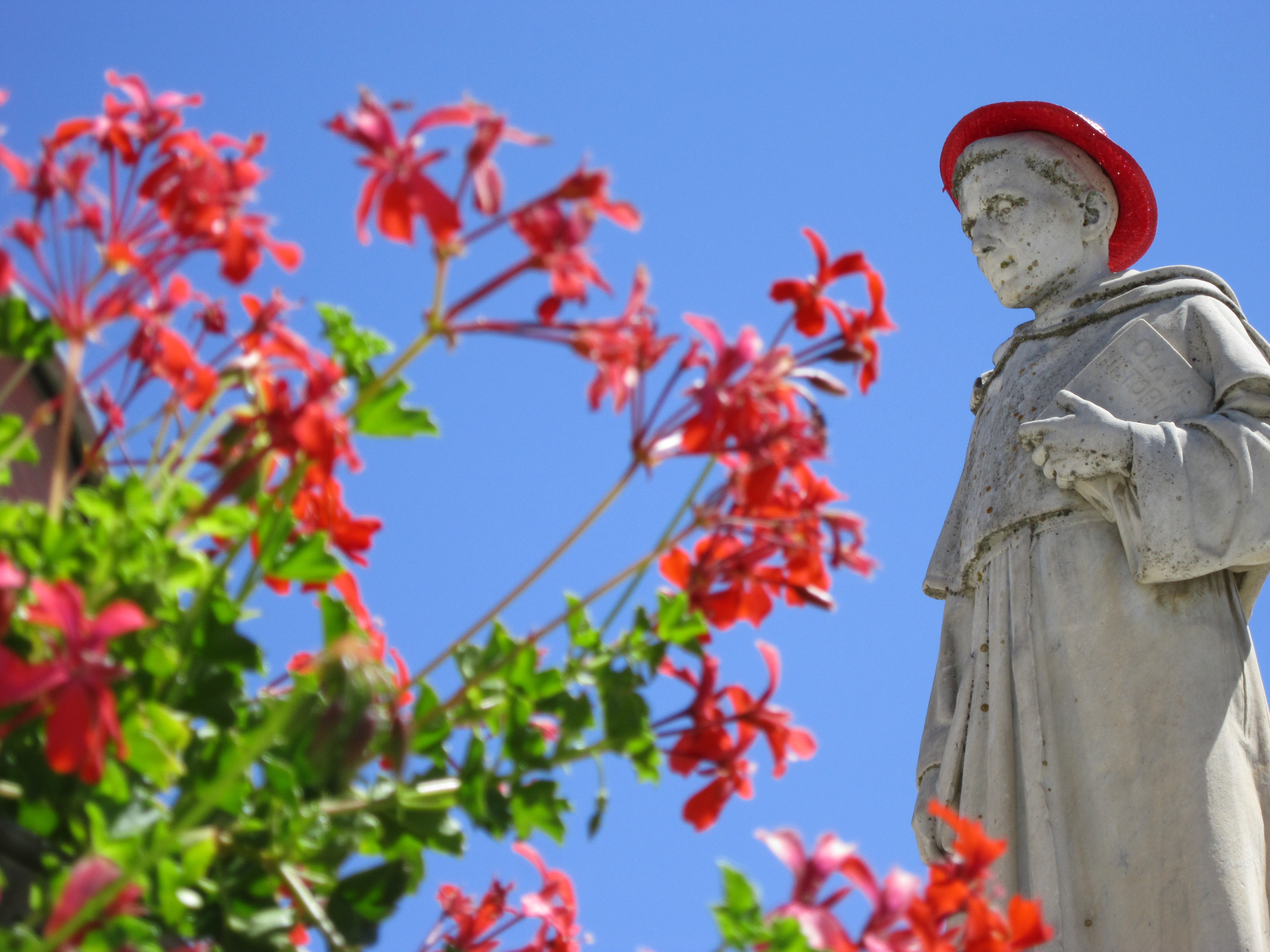 Entre flores