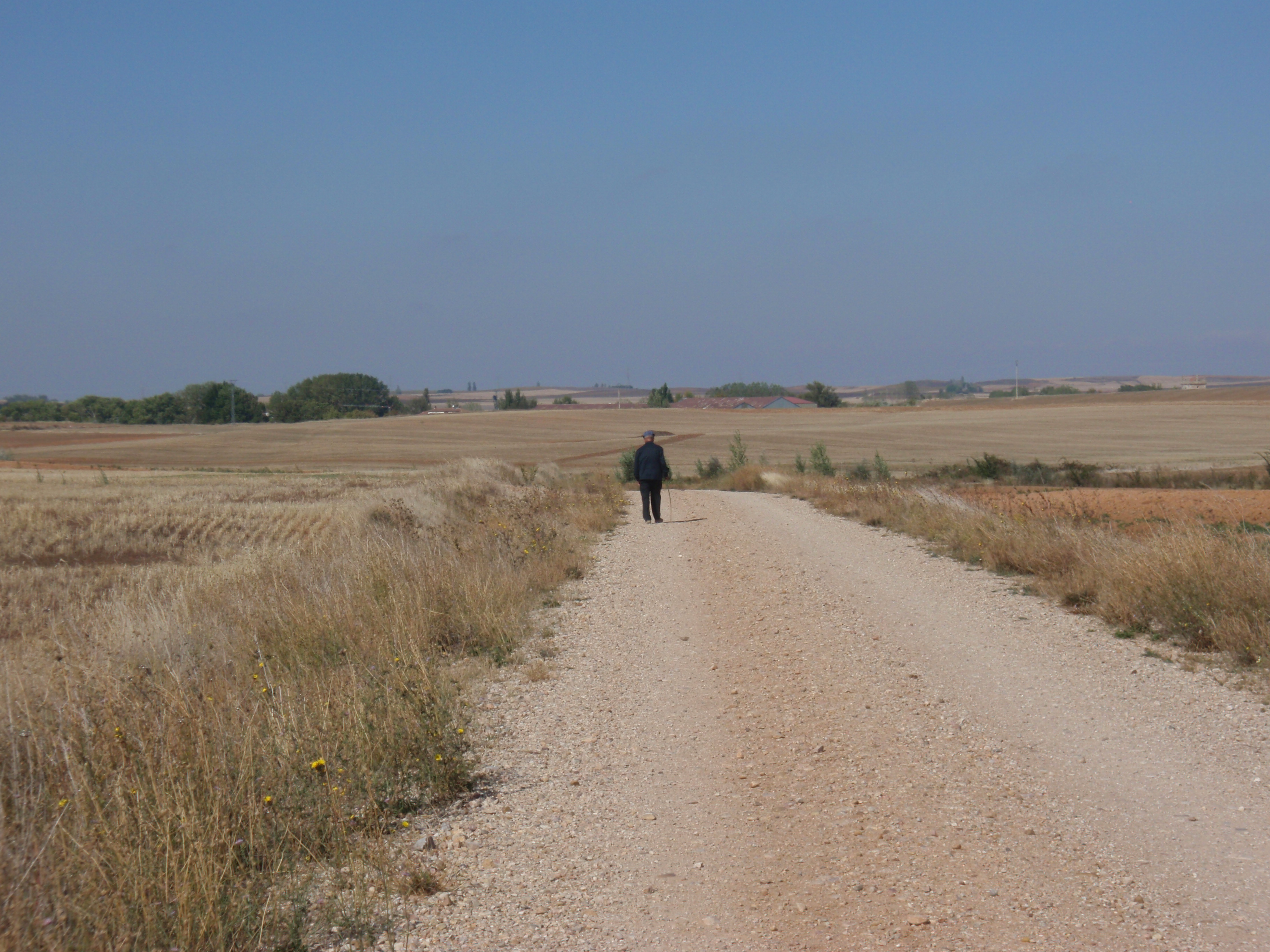 Paseo